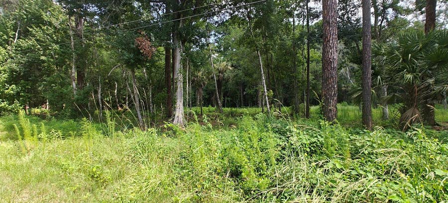 Property photo for 8401 AMELIA TRAIL, Kissimmee, FL
