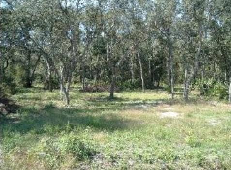 Property photo for 413 NE 808TH STREET, Old Town, FL