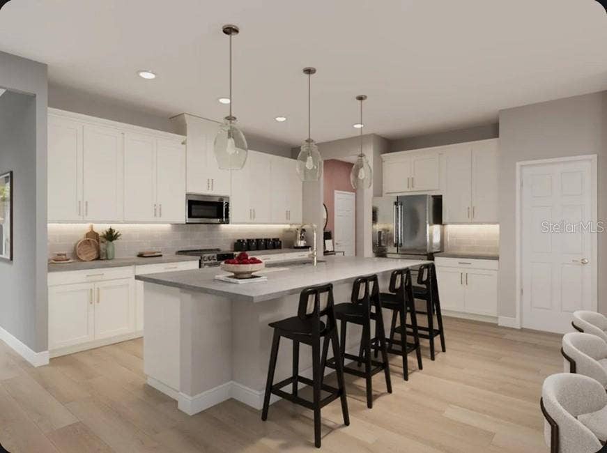 11341 BOURBON ROSE CIRCLE, Winter Garden, FL 34787 Representative Photo
