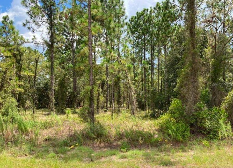 Property photo for TBD SW NEPTUNE BOULEVARD, Dunnellon, FL