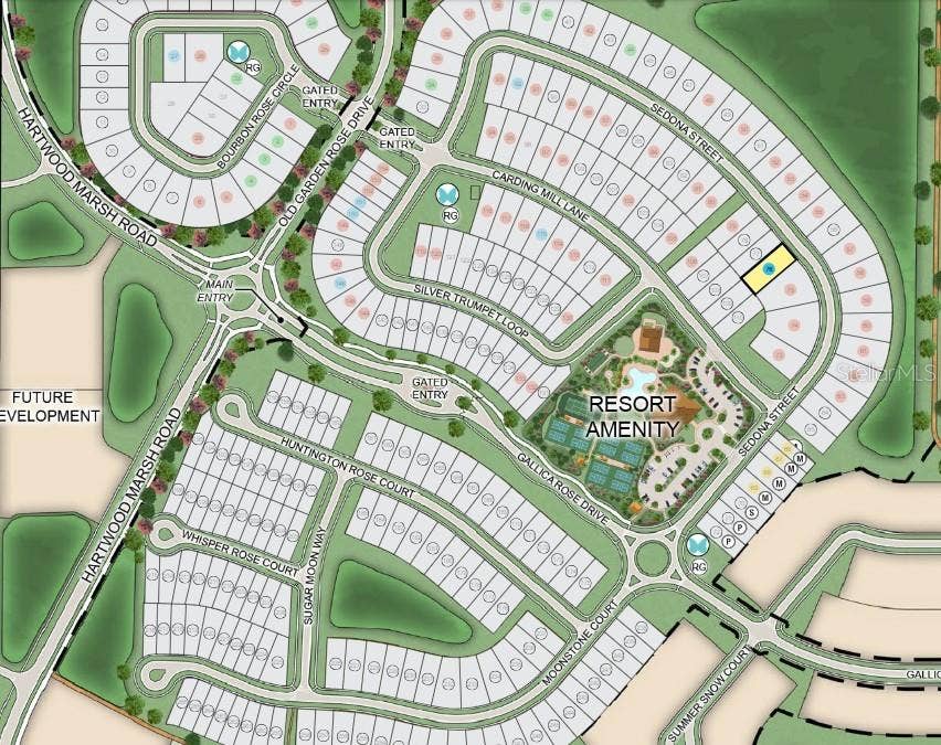 17742 SEDONA STREET, Winter Garden, FL 34787 17742 Sedona Street Site Map