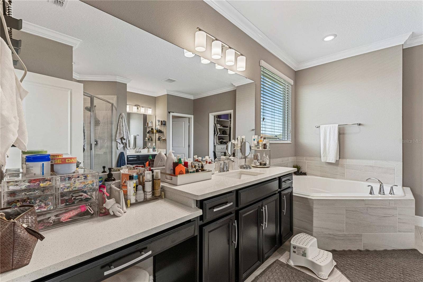 9225 HOLLISTON CREEK PLACE, Winter Garden, FL 34787 9225 HOLLISTON CREEK PLACE, Winter Garden, FL 34787