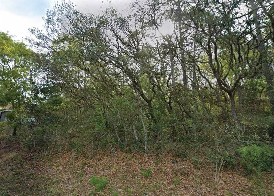 Property photo for 7759 N MALTESE DRIVE, Citrus Springs, FL