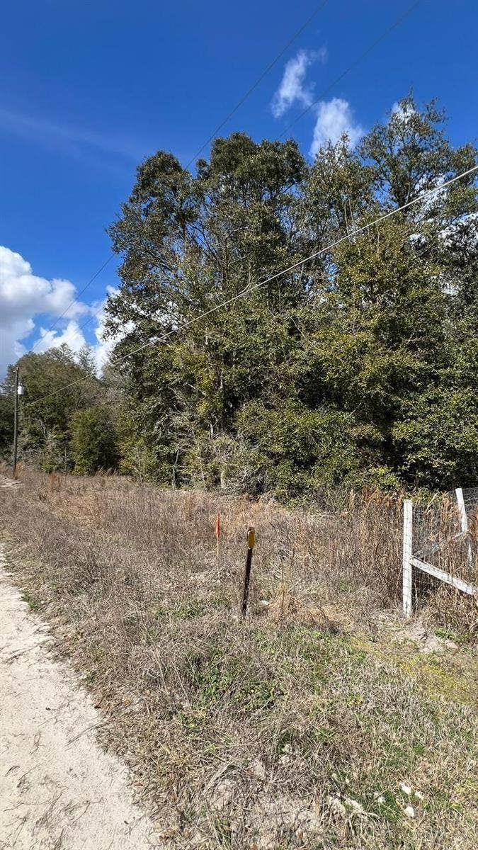 Property photo for SW 111 LANE, Dunnellon, FL