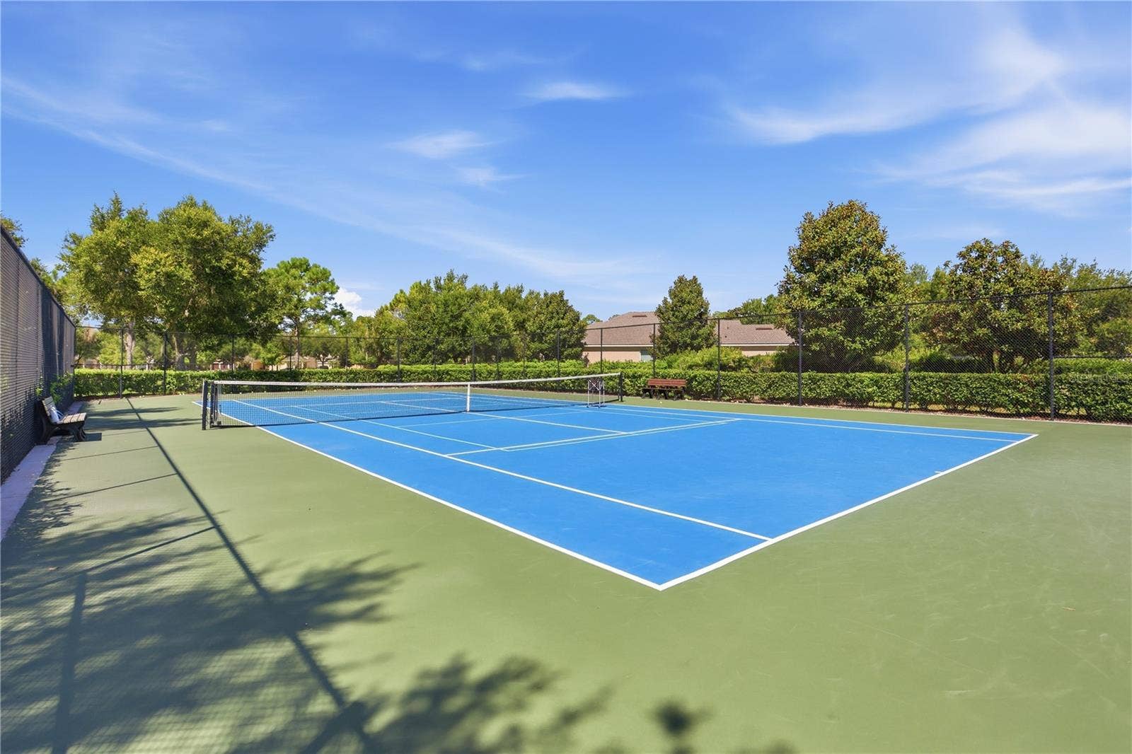 13231 ROXBORO ROAD, Windermere, FL 34786 Tennis/Pickleball Court