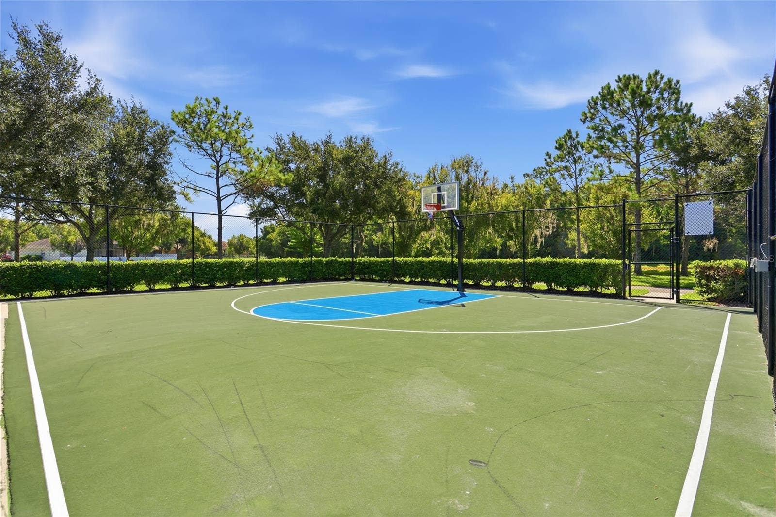 13231 ROXBORO ROAD, Windermere, FL 34786 Basketball Court