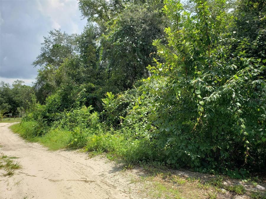 Property photo for PINE VALLEY DRIVE, Paisley, FL