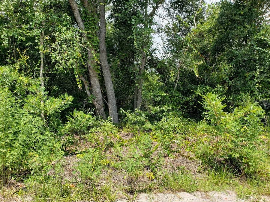Property photo for PINE VALLEY DRIVE, Paisley, FL