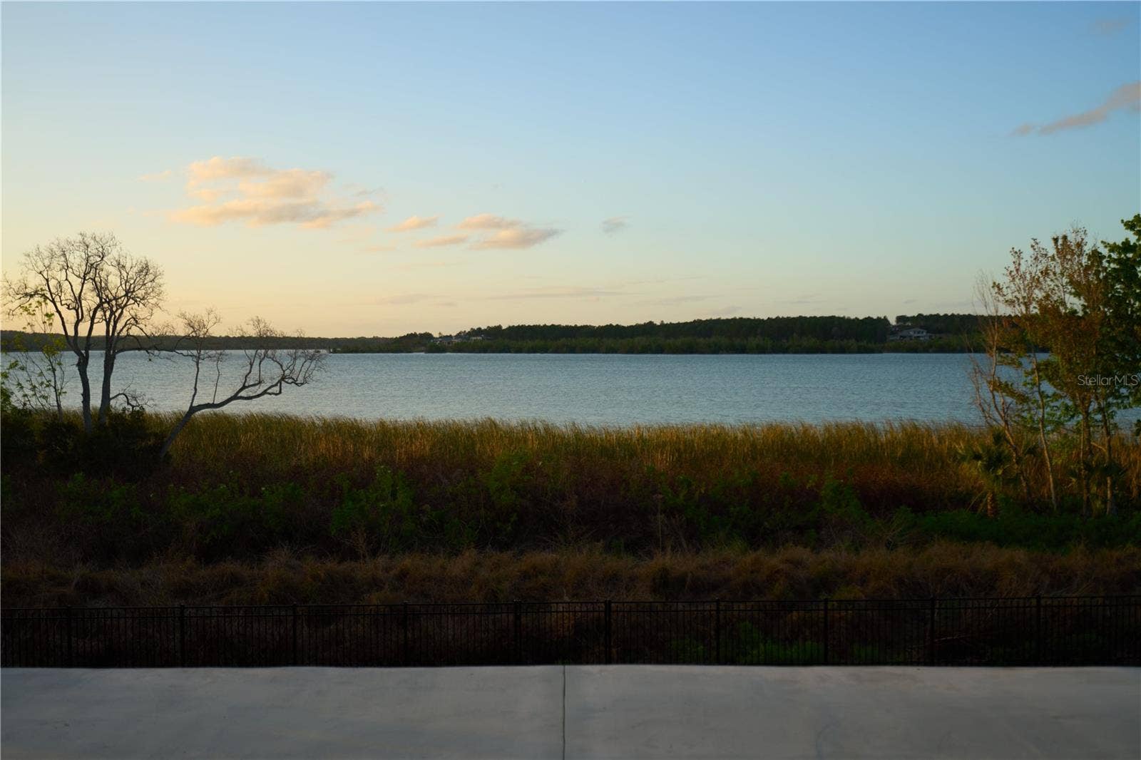 17854 HITHER HILLS CIRCLE, Winter Garden, FL 34787 17854 HITHER HILLS CIRCLE, Winter Garden, FL 34787