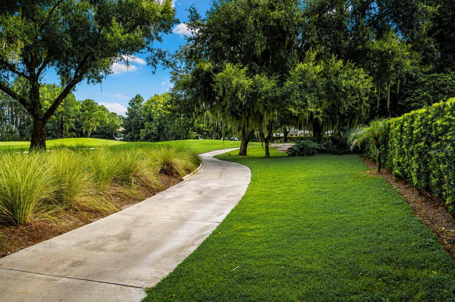 6719 VALHALLA WAY, Windermere, FL 34786 Back of the House