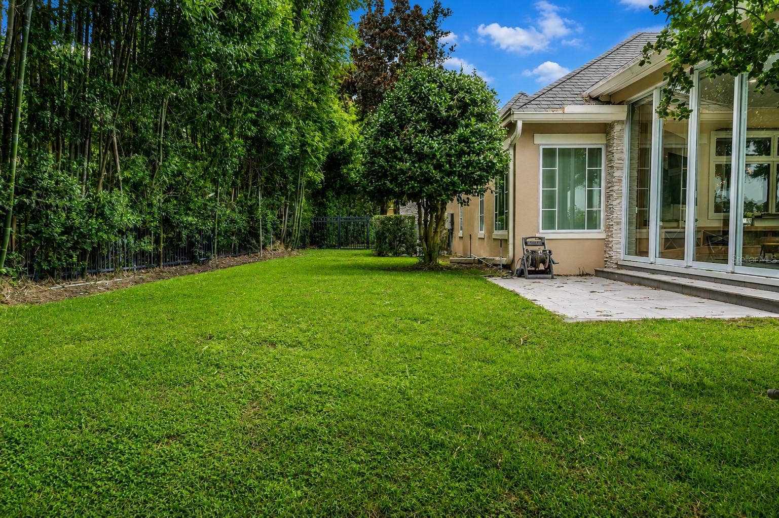 6719 VALHALLA WAY, Windermere, FL 34786 Back Yard