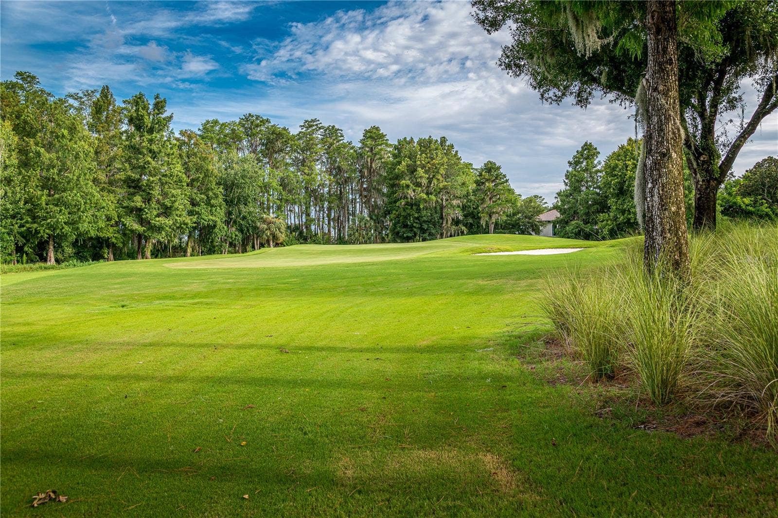 6719 VALHALLA WAY, Windermere, FL 34786 Hole 17