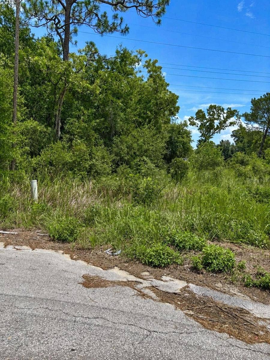 Property photo for WATER TRACK LOT 08, Ocala, FL