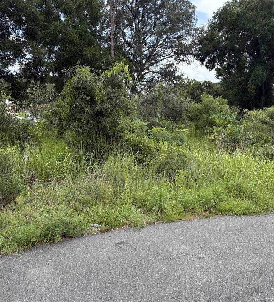Property photo for OAK PASS RUN, #Lot 10, Ocala, FL