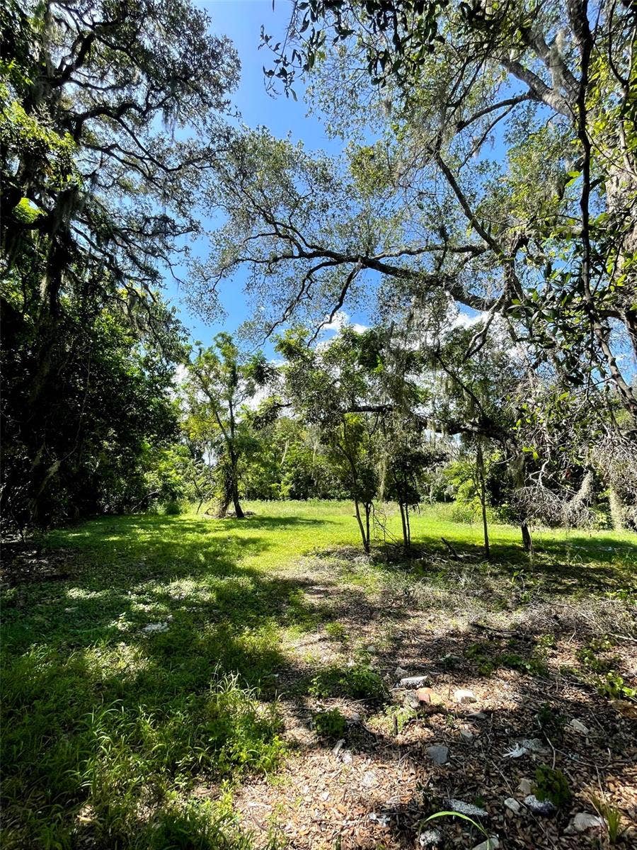 Property photo for 194 E 11TH STREET, Apopka, FL