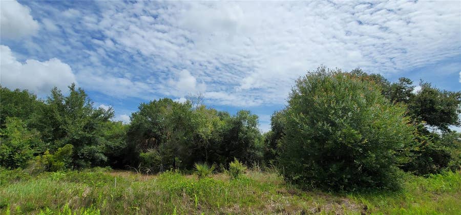 Property photo for NW 268TH STREET LOT N, Okeechobee, FL