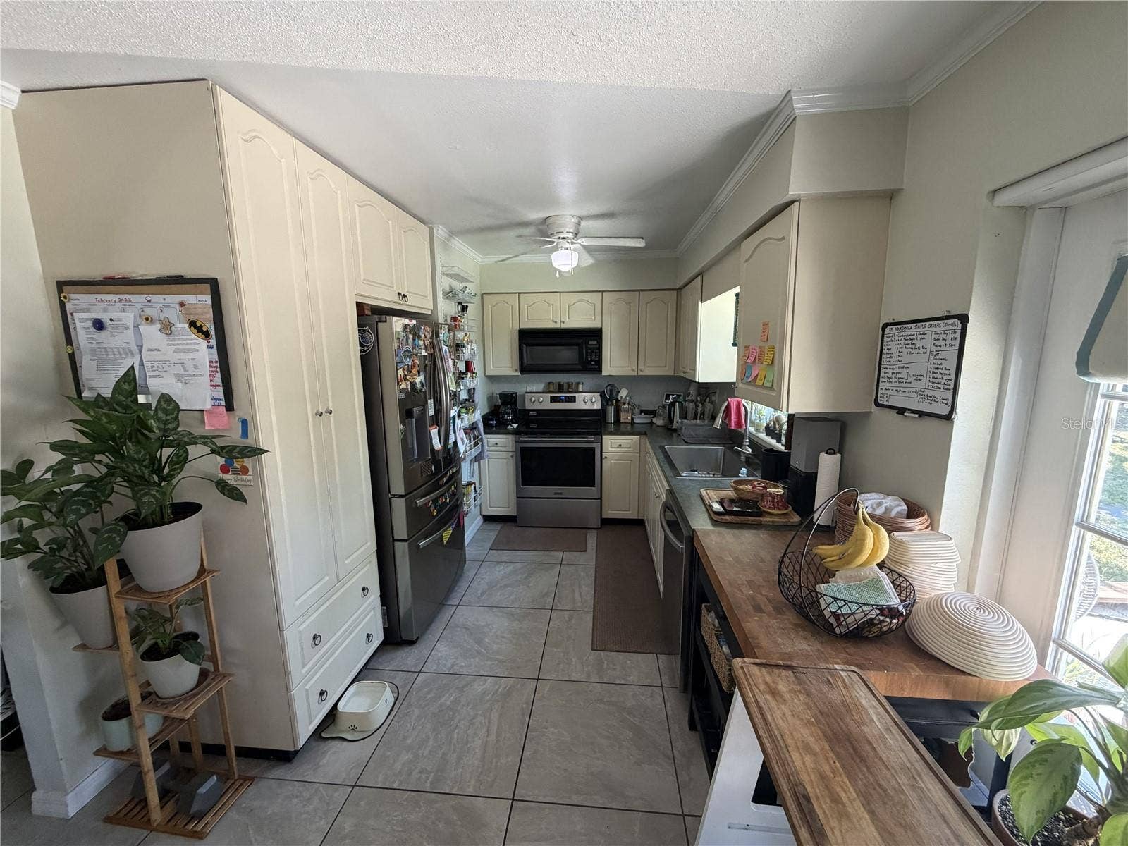 4180 POINSETTIA AVENUE, Mount Dora, FL 32757 4180 POINSETTIA AVENUE, Mount Dora, FL 32757