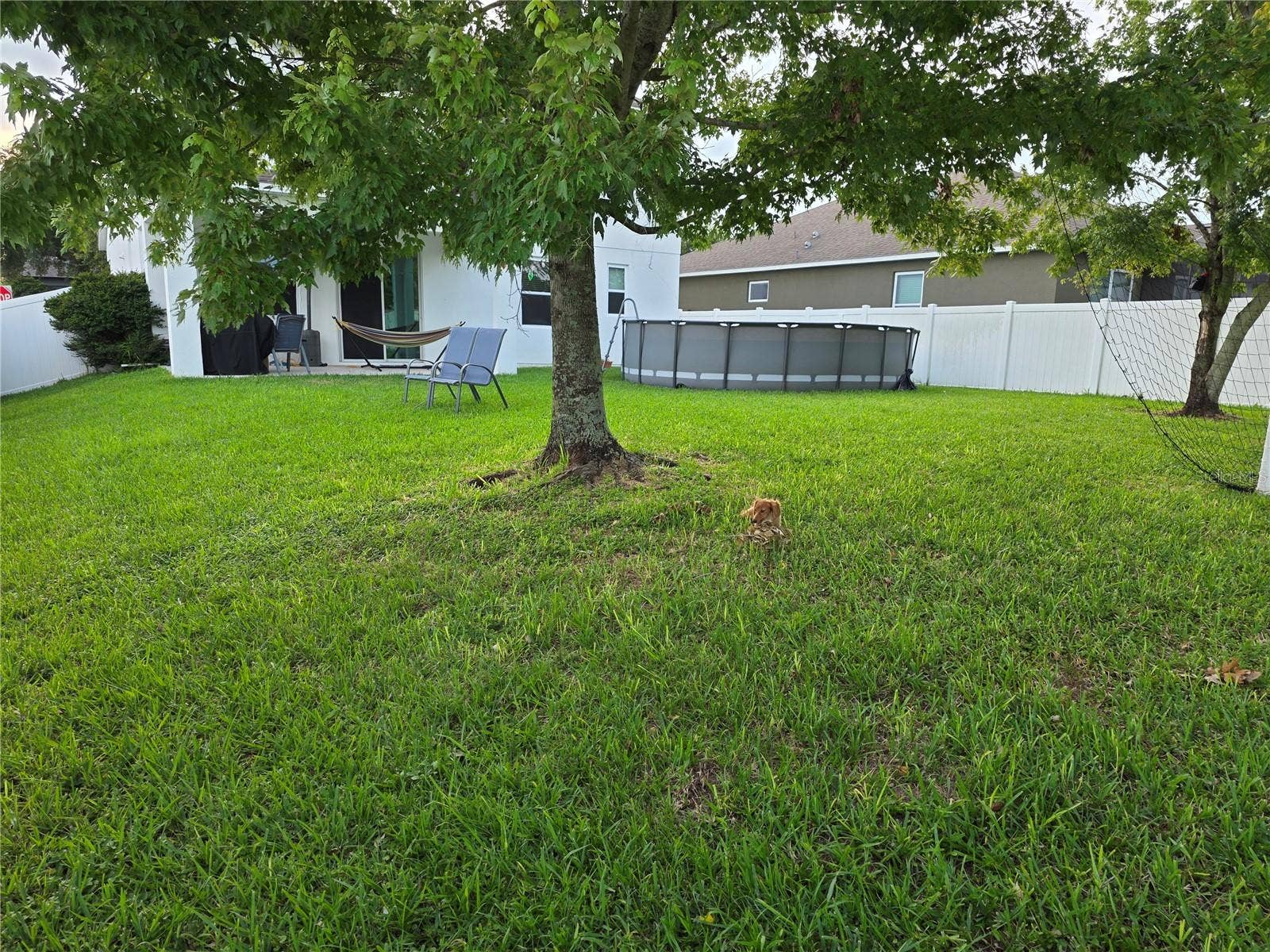 12749 GARRIDAN AVENUE, Windermere, FL 34786 12749 GARRIDAN AVENUE, Windermere, FL 34786
