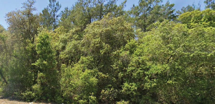 Property photo for 0 SE 309 AVENUE, Altoona, FL