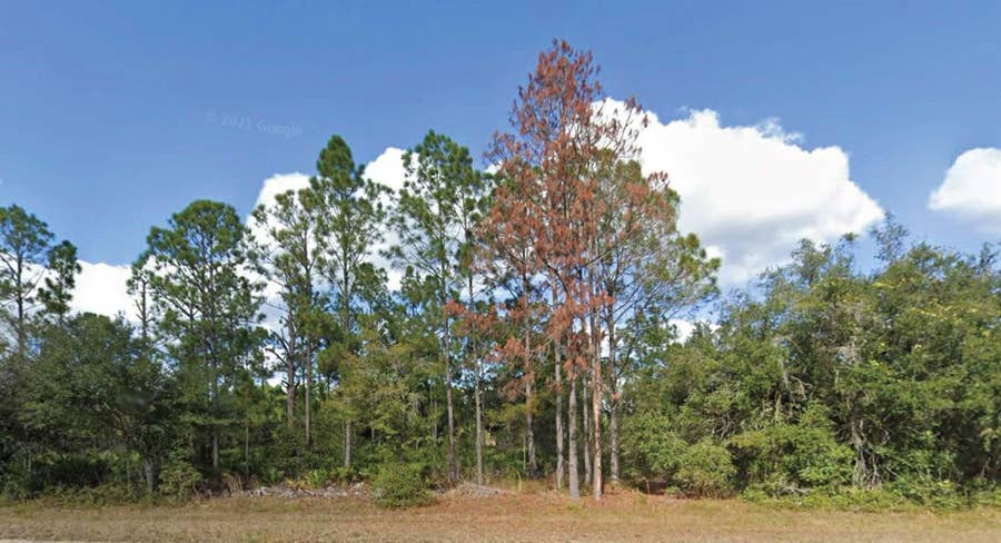 Property photo for 508 PALM AVENUE, Indian Lake Estates, FL