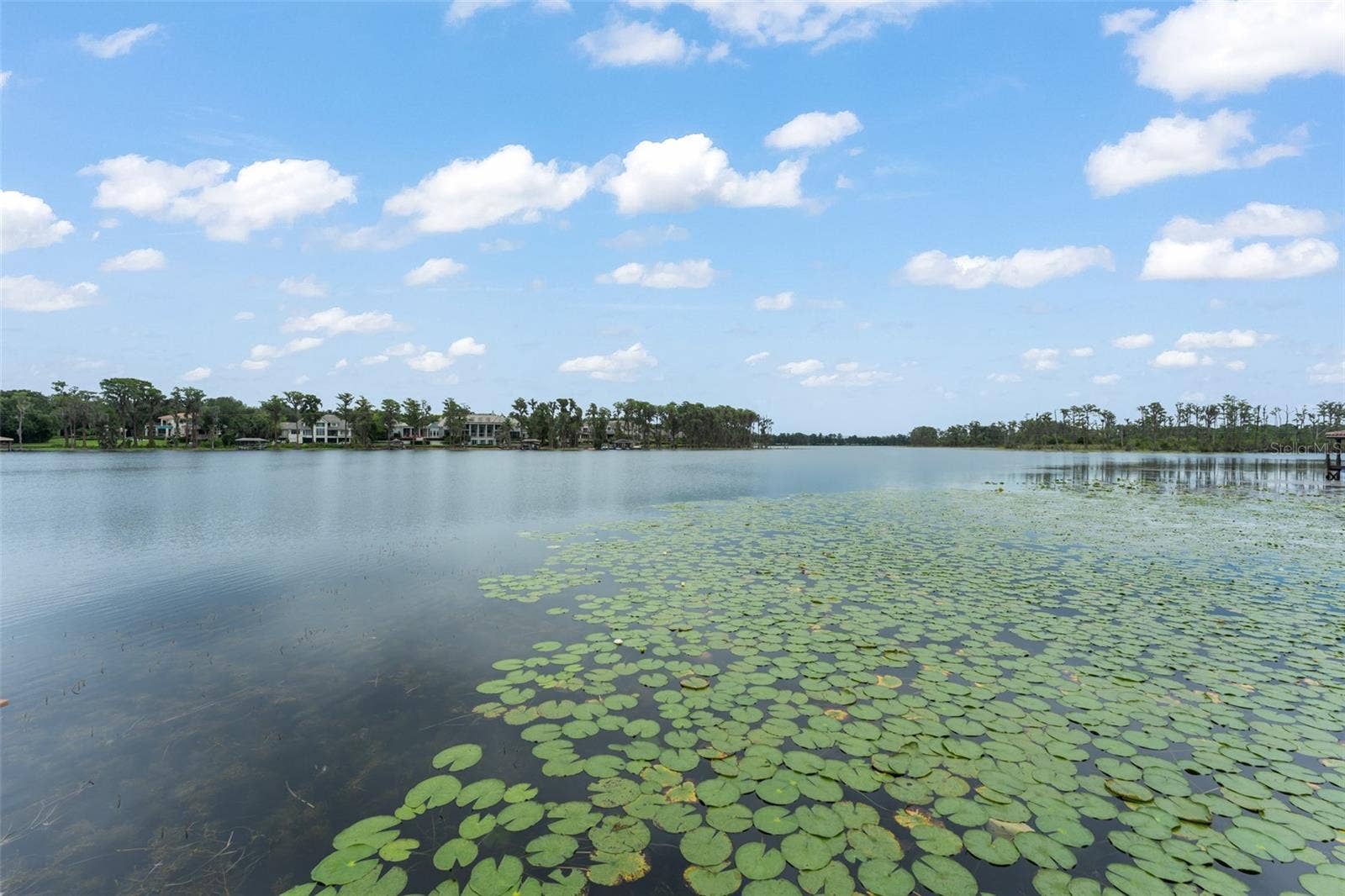 6055 LOUISE COVE DRIVE, Windermere, FL 34786 6055 LOUISE COVE DRIVE, Windermere, FL 34786