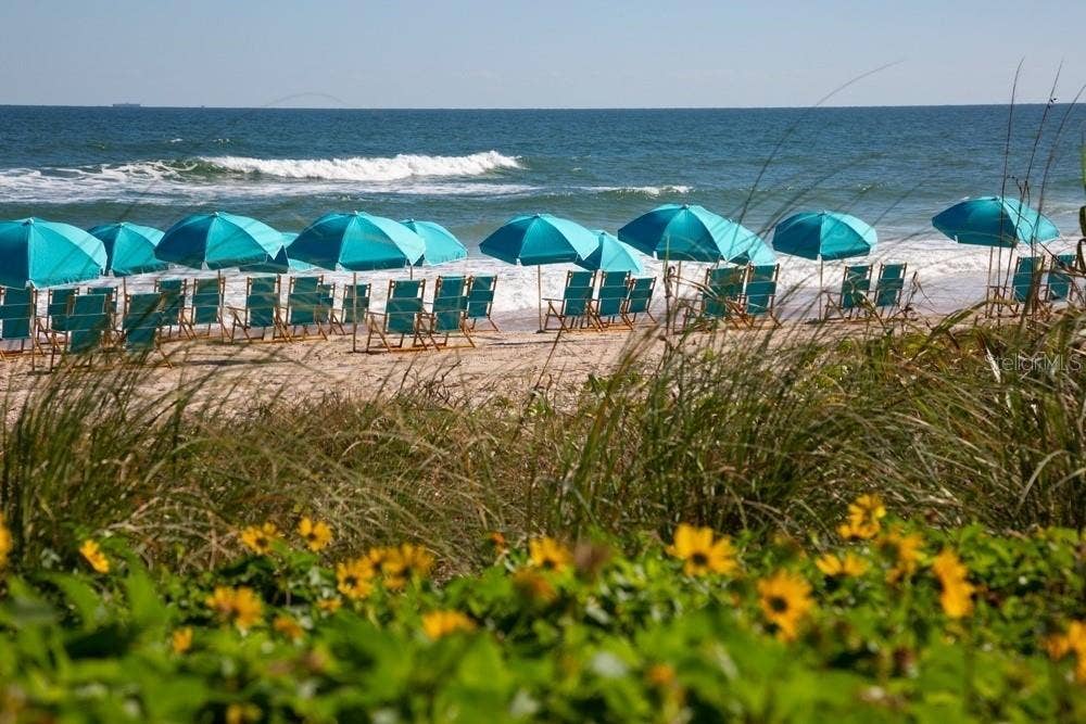 341 COMPASS ROSE DRIVE, Daytona Beach, FL 32124 341 COMPASS ROSE DRIVE, Daytona Beach, FL 32124