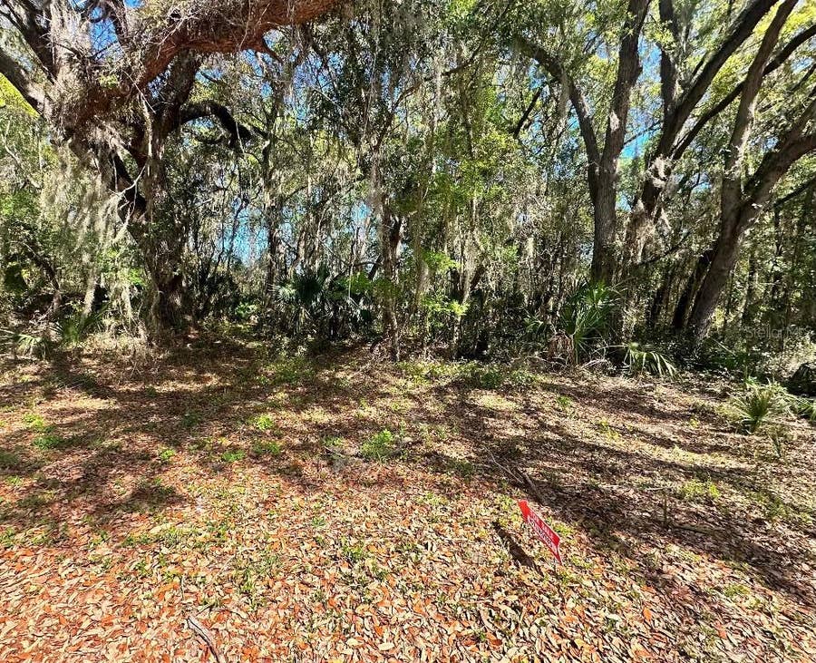 Property photo for GUAVA TERRACE, Ocklawaha, FL