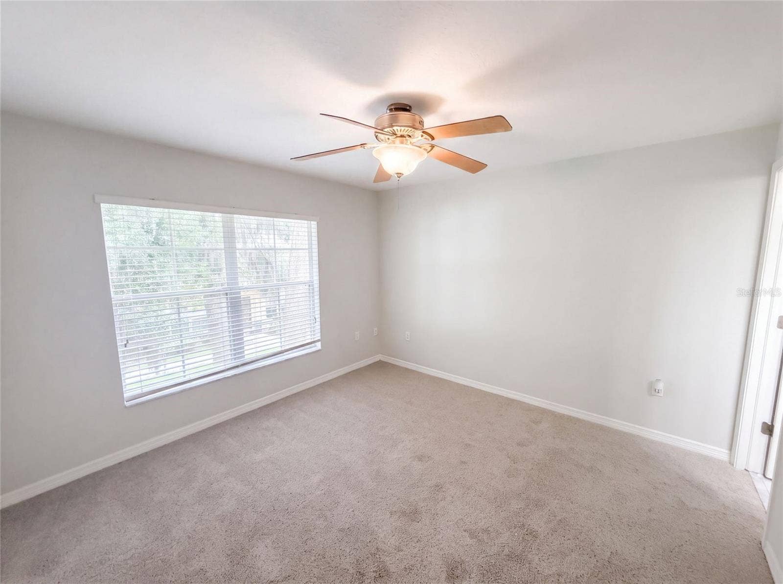 37557 DALIHA TERRACE, Zephyrhills, FL 33542 37557 DALIHA TERRACE, Zephyrhills, FL 33542