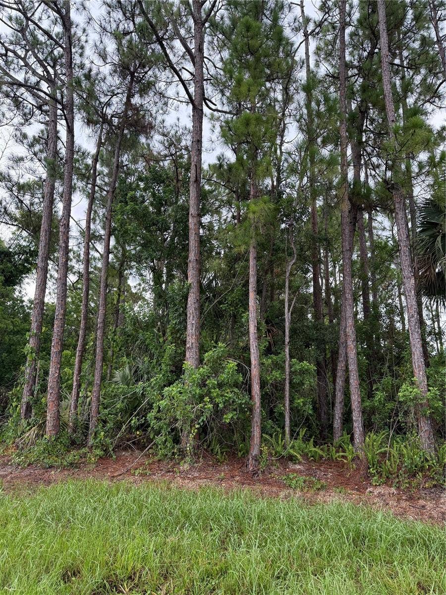 Property photo for 2361 SAN FILIPPO DRIVE SE, Palm Bay, FL