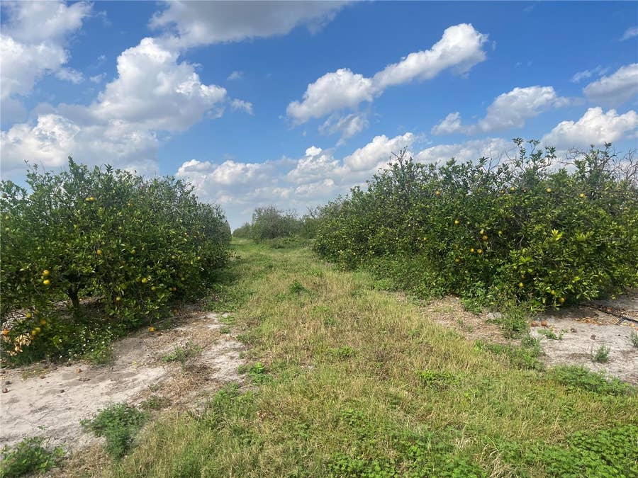 Property photo for NE HWY 70, #04-24-04, Arcadia, FL
