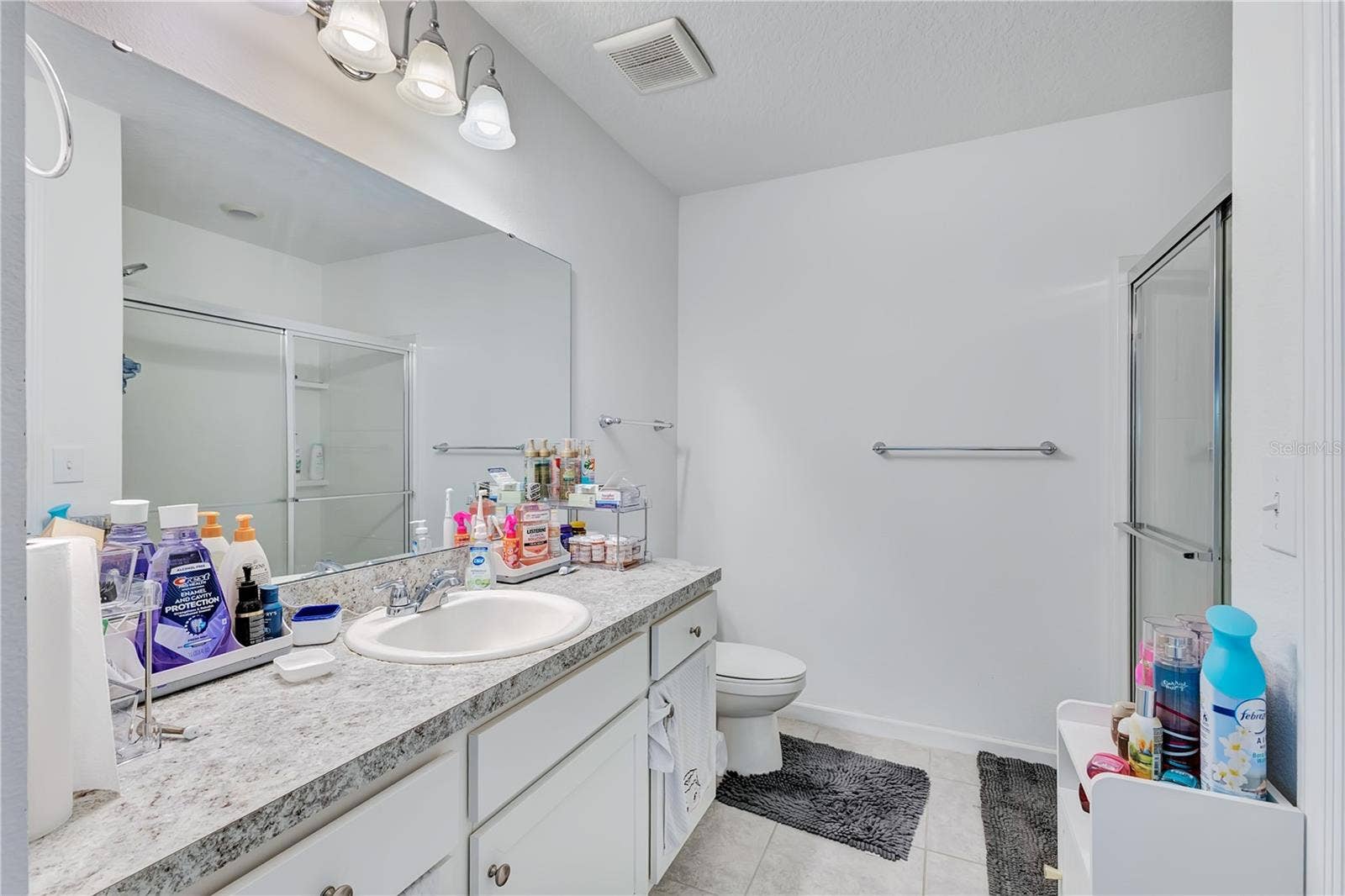 1687 BEAR MOUNTAIN LANE, Minneola, FL 34715 1687 BEAR MOUNTAIN LANE, Minneola, FL 34715