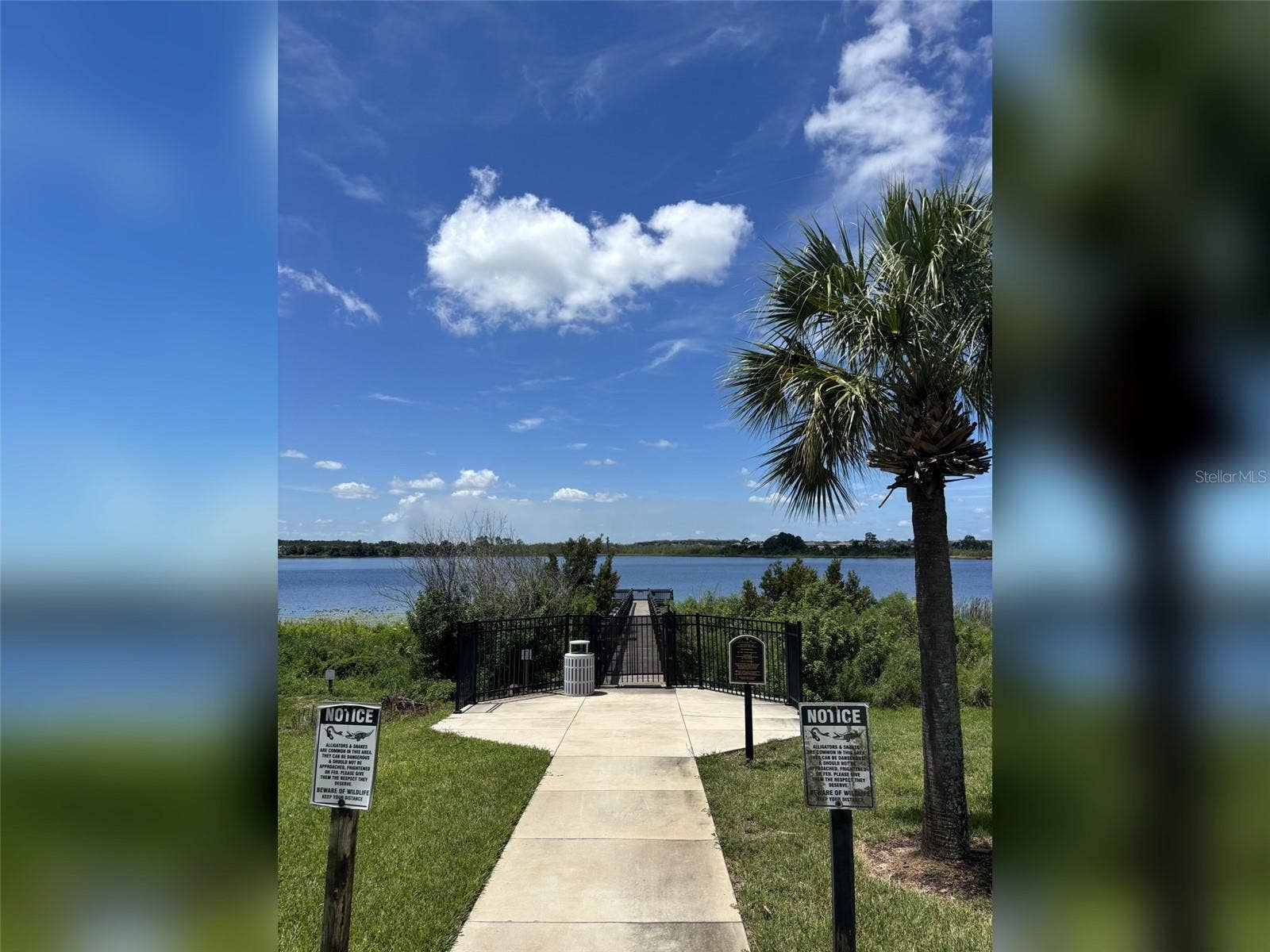 14048 LARKSPUR LAKE DRIVE, Winter Garden, FL 34787 14048 Larkspur Lake Dr - Community lakefront area with beautiful views of Huckleberry Lake.