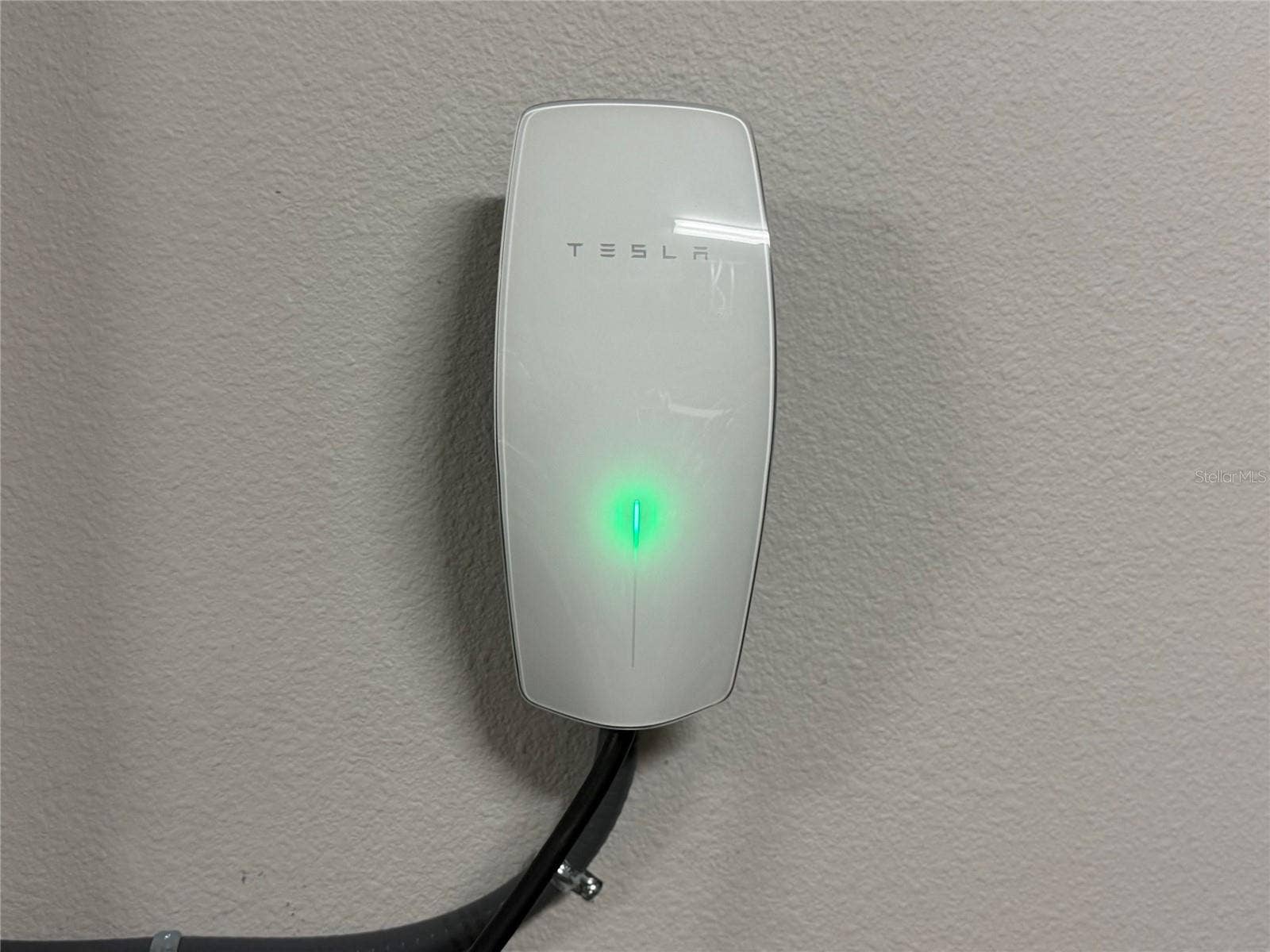 14048 LARKSPUR LAKE DRIVE, Winter Garden, FL 34787 14048 Larkspur Lake Dr - Tesla EV charger included inside the three-car garage.