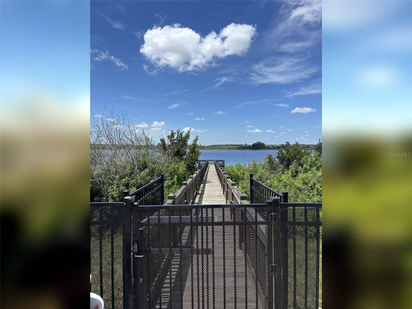 14048 LARKSPUR LAKE DRIVE, Winter Garden, FL 34787 14048 Larkspur Lake Dr - Community dock providing access to Huckleberry Lake.