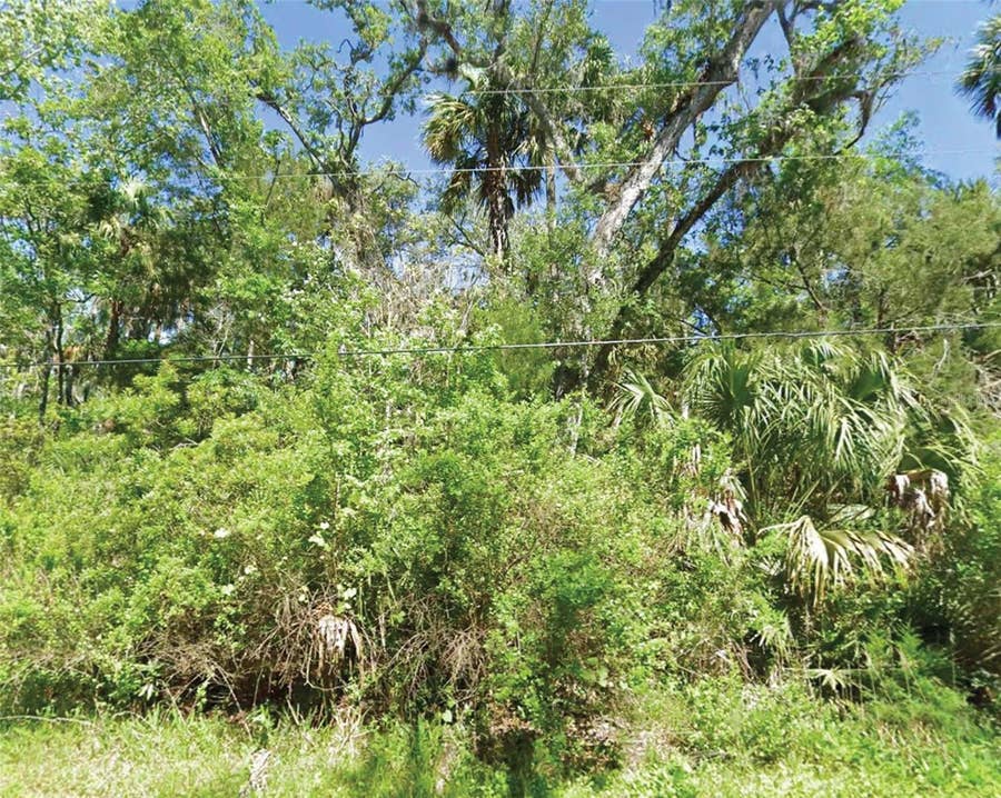 Property photo for 10243 W PALMETTO STREET, Homosassa, FL