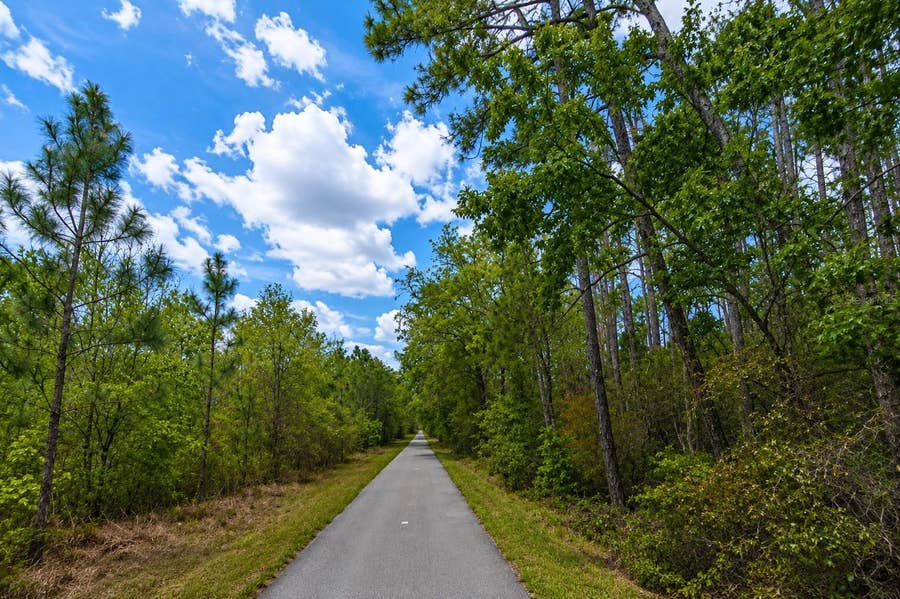 Property photo for 00 VAN FLEET TRAIL, Polk City, FL
