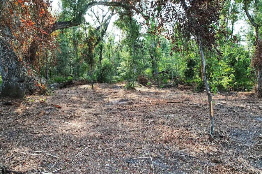 Property photo for 1615 NE 497TH STREET, Old Town, FL