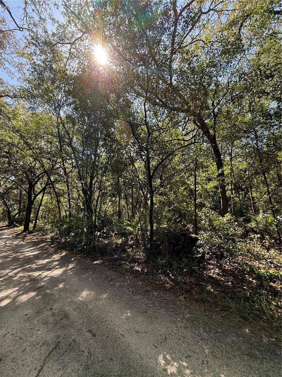 Property photo for TBD SW 152ND PLACE, Dunnellon, FL