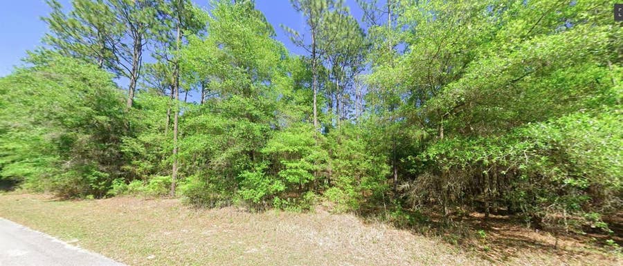 Property photo for 0 SW 201 STREET, Dunnellon, FL