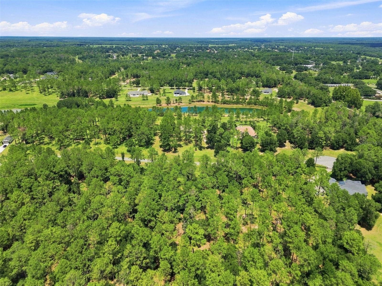 24150 GREENWOOD CROSSING, Eustis, FL 32736 Aerial view