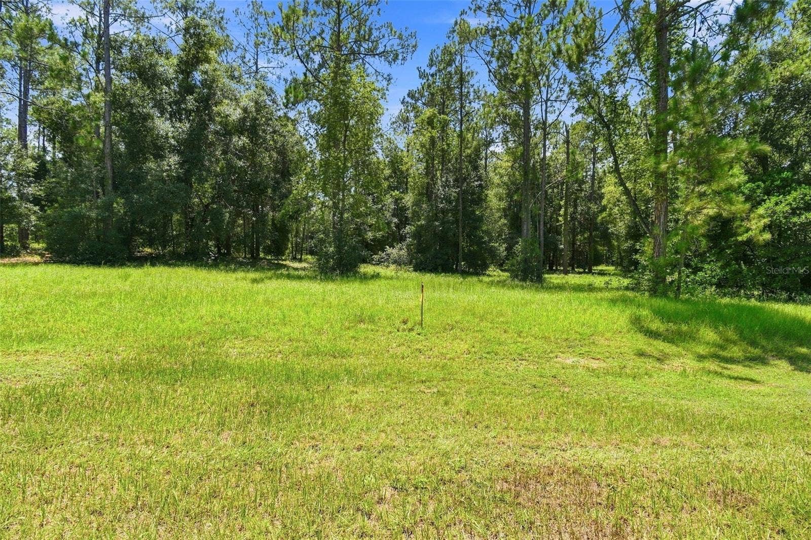 24150 GREENWOOD CROSSING, Eustis, FL 32736 Build your "Dream Home"