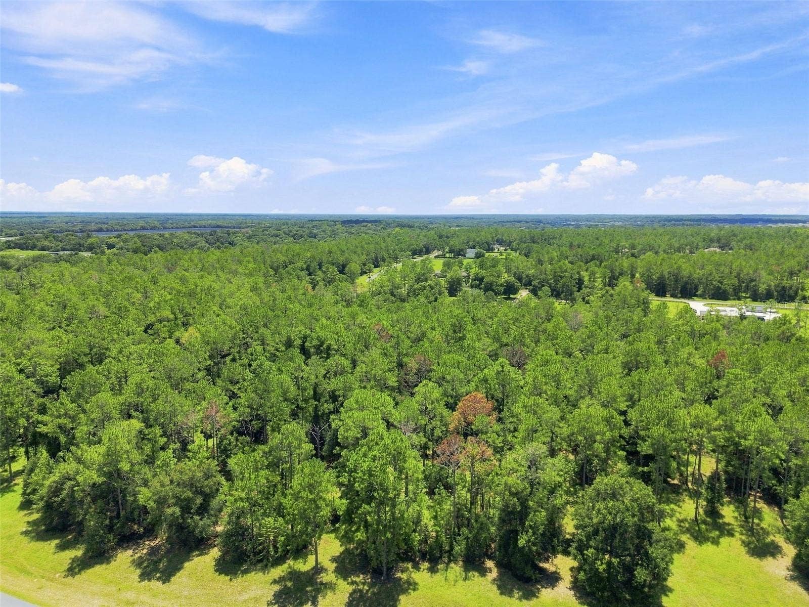 24150 GREENWOOD CROSSING, Eustis, FL 32736 Mature Trees