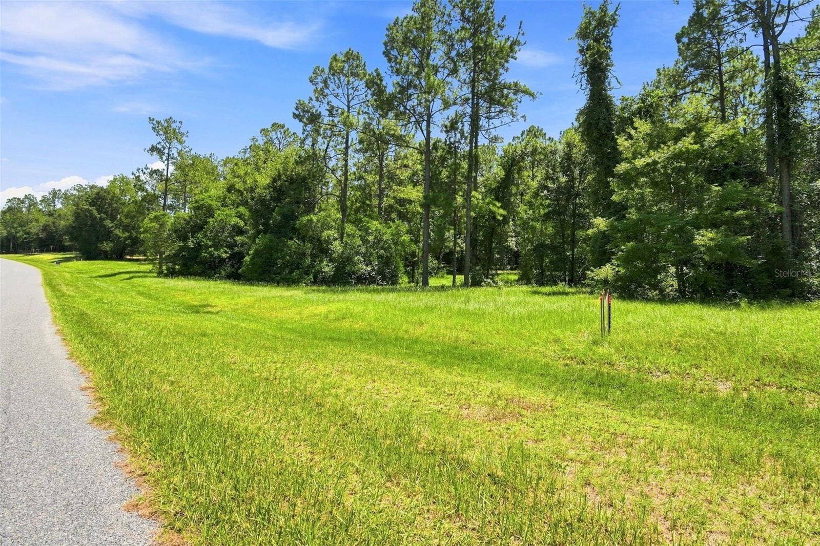 24150 GREENWOOD CROSSING, Eustis, FL 32736 Wide lot frontage