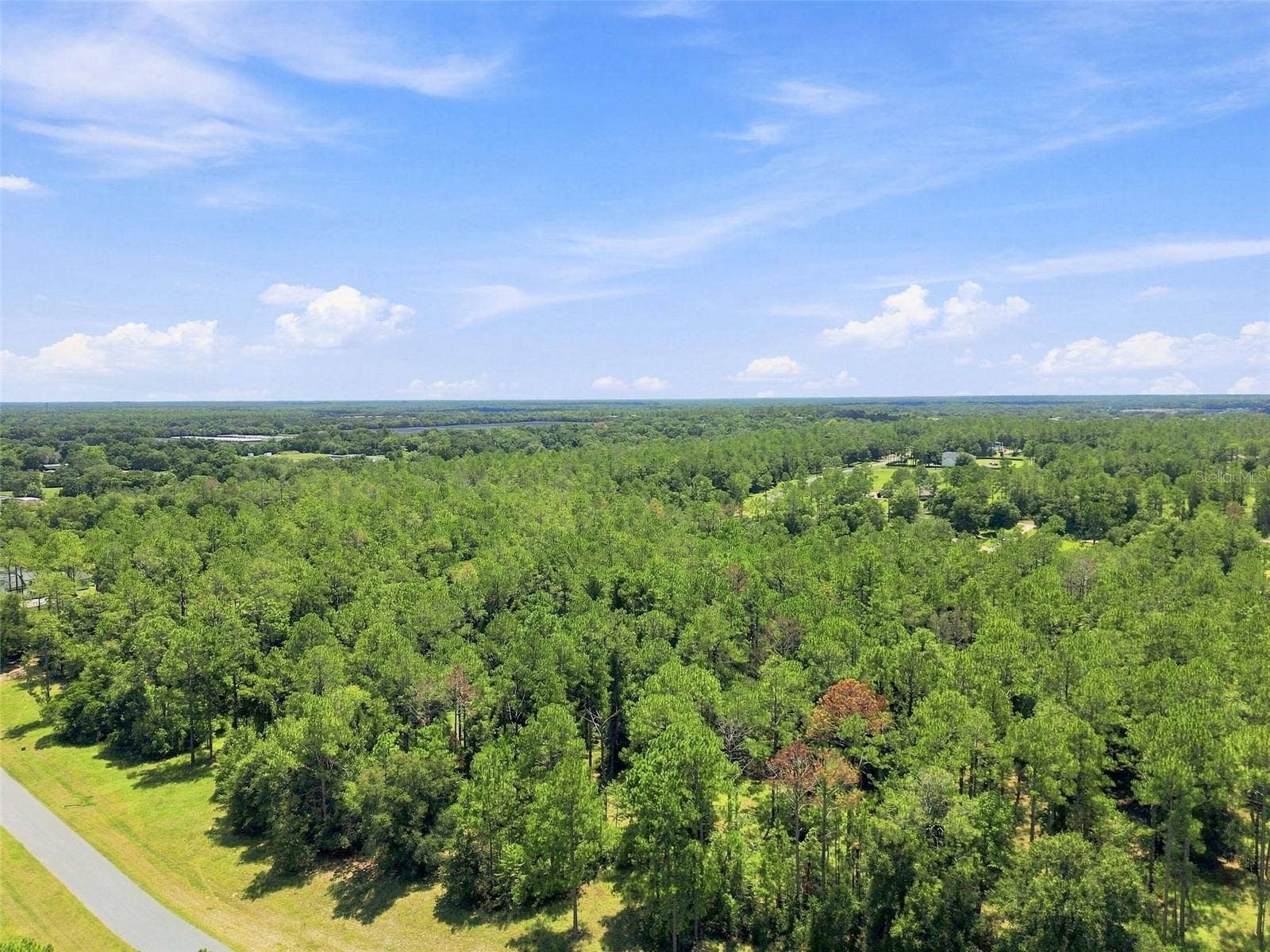 24150 GREENWOOD CROSSING, Eustis, FL 32736 Paved Road