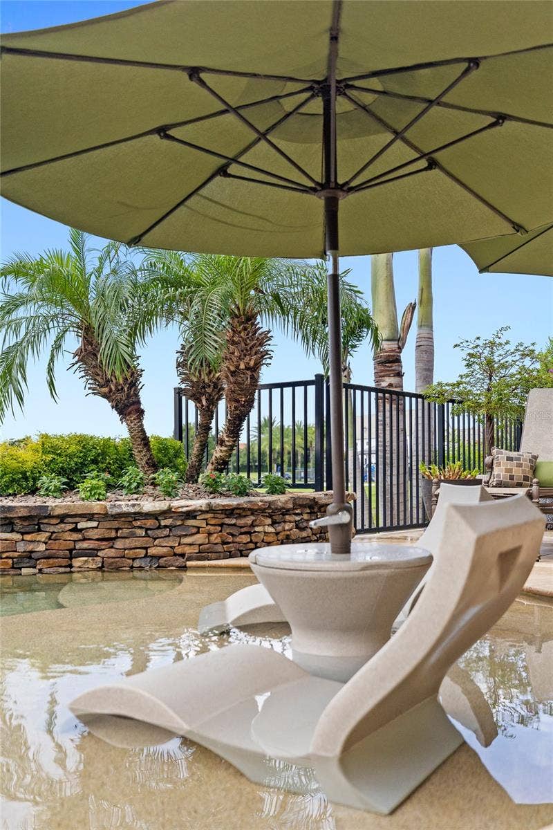 15475 SHOREBIRD LANE, Winter Garden, FL 34787 Pool/Sun Shelf