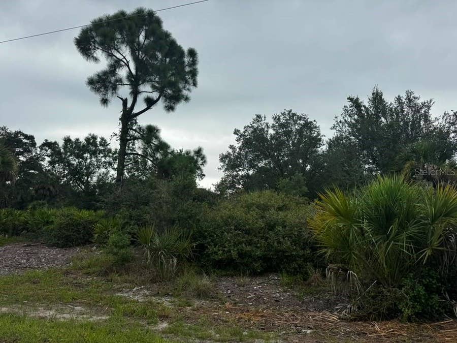 Property photo for 17459 PLAINS AVENUE, Port Charlotte, FL