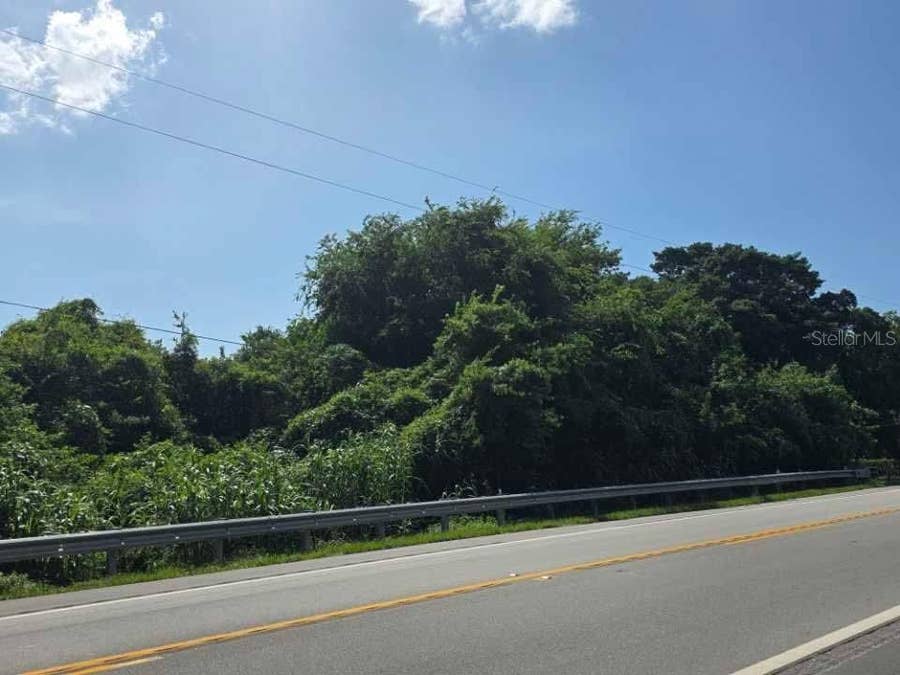 Property photo for 16980 SW CONNERS HIGHWAY, Canal Point, FL
