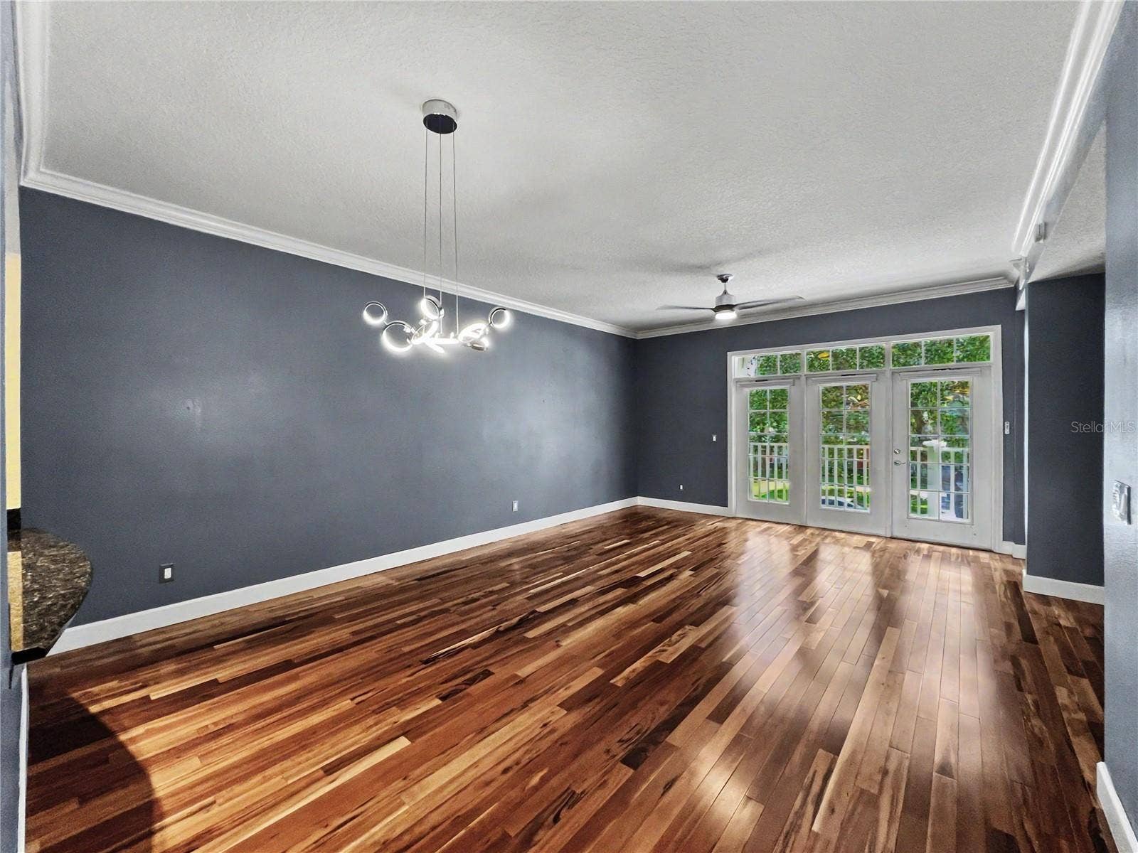 1411 CELEBRATION AVENUE, #206, Celebration, FL 34747 1411 CELEBRATION AVENUE, #206, Celebration, FL 34747
