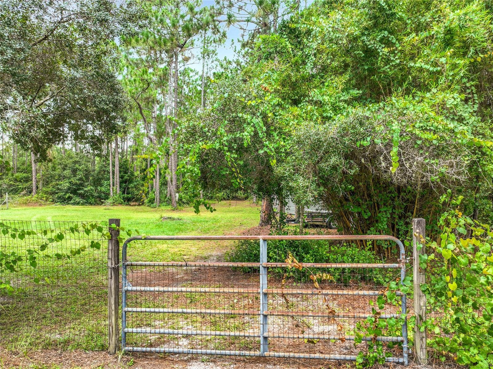 41821 ROYAL TRAILS ROAD, Eustis, FL 32736