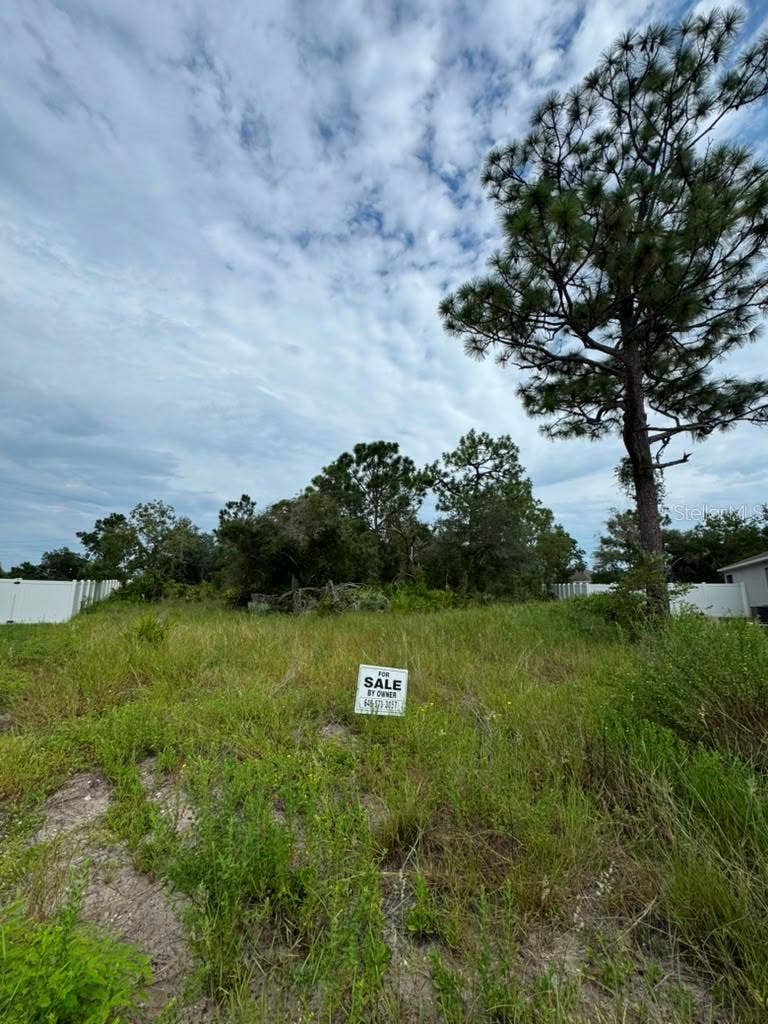 Property photo for 420 ST JOHNS LANE, Poinciana, FL
